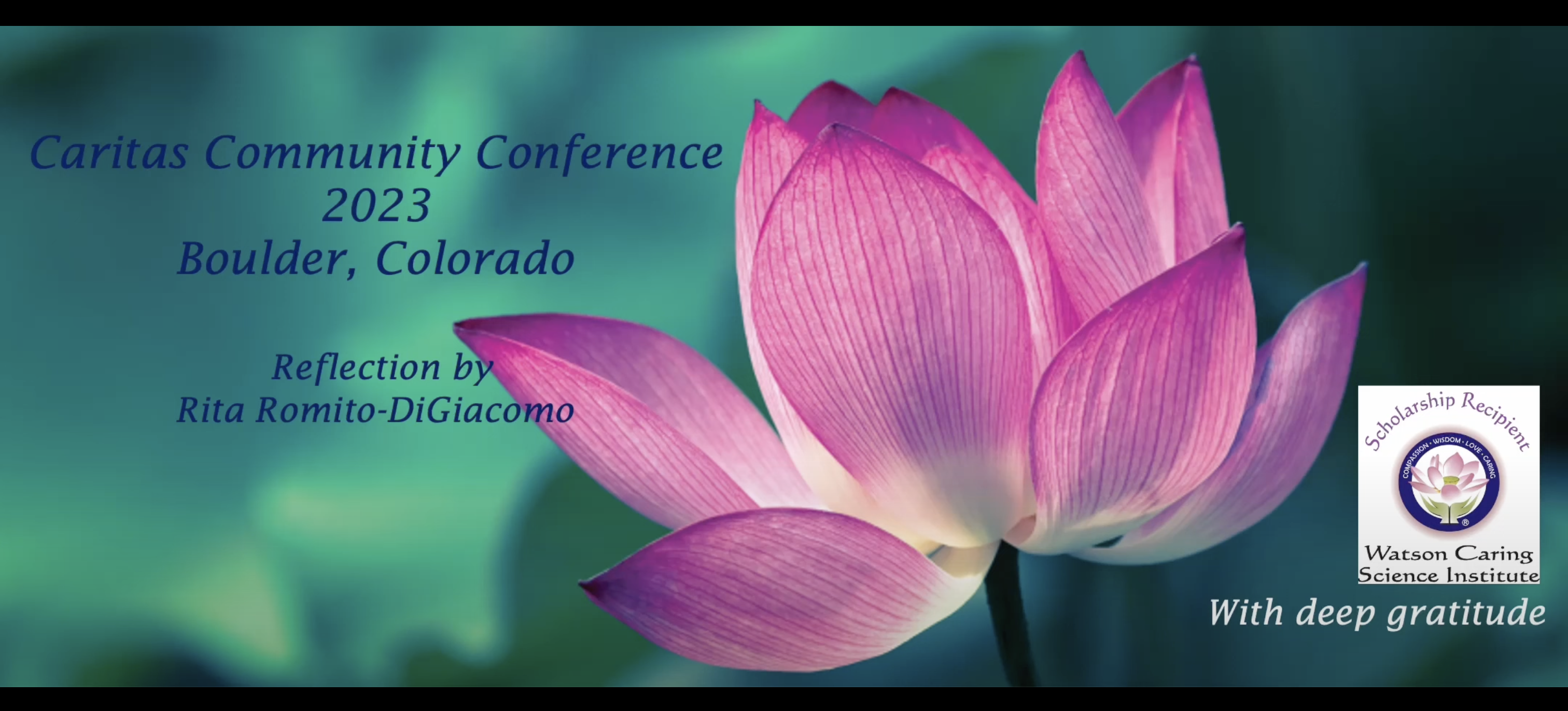 Screen Shot 2023-09-12 at 16.29.52